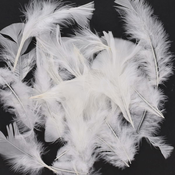 White Feathers Assorted 20gm Bag