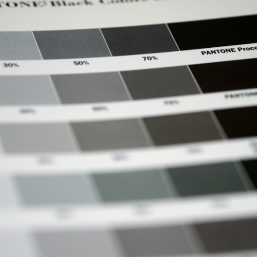 Print Your B/W Document