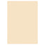A4 220gsm Card Ivory or White 50 Sheets