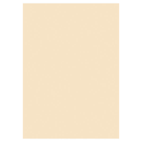A4 220gsm Card Ivory or White 50 Sheets