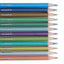 World of Colour 12 Matt and Metallic Pencils 24 Colours