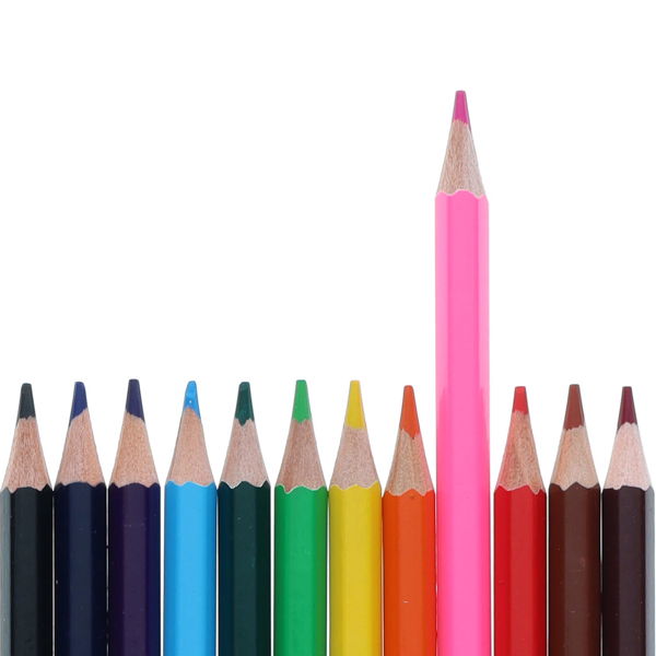 World of Colour 12 Full Size Colouring Pencils
