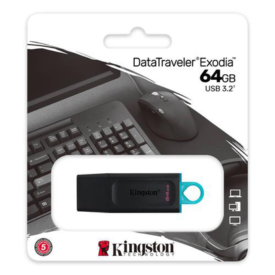 Kingston USB Sticks