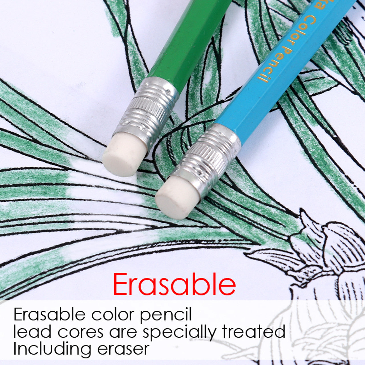 12 Erasable Wood Free Colouring Pencils