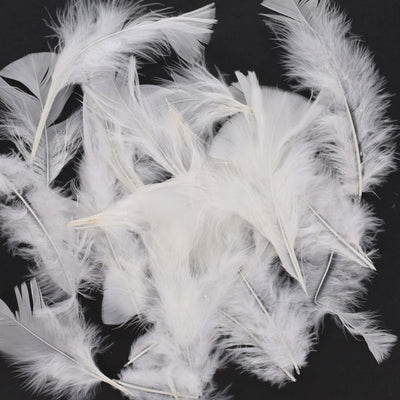 White Feathers Assorted 20gm Bag