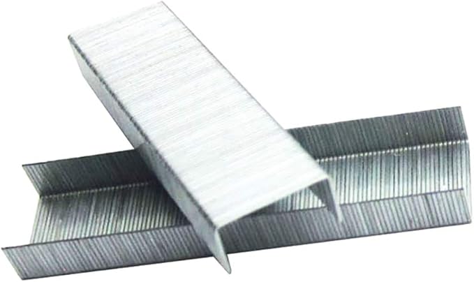 No. 10 Staples 2 x 1000