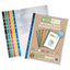 eco-eco eco093 A4 100% Recycled Coloured Spine Punched Pockets Glass Clear 100 x 45 micron